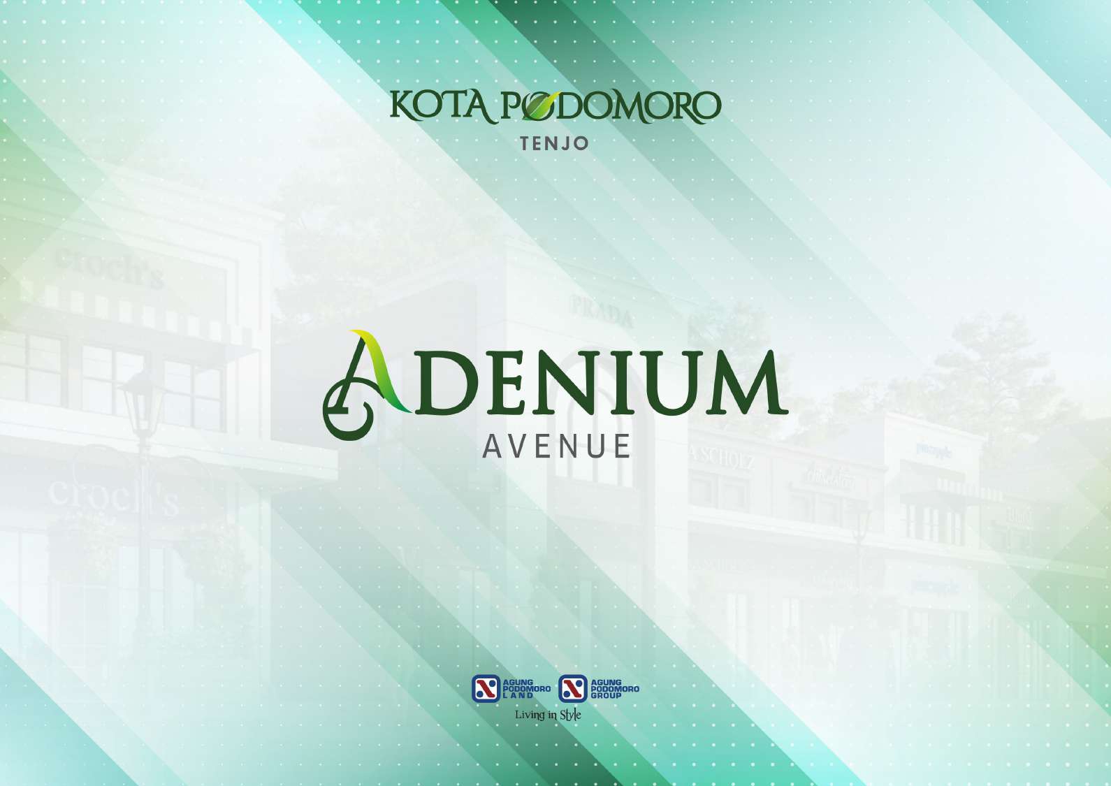 Ruko adenium kota podomoro tenjo